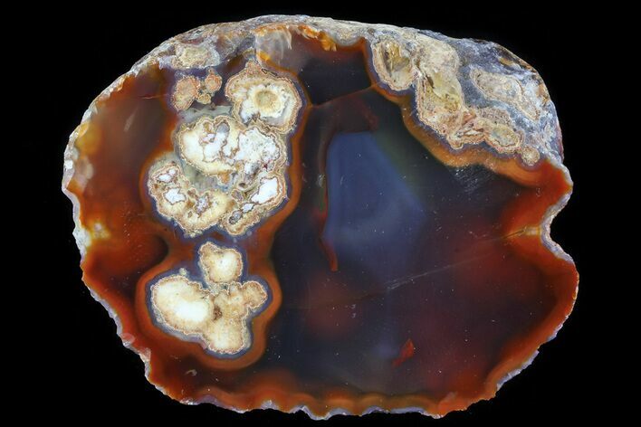 Beautiful Condor Agate From Argentina - Cut/Polished Face #79520